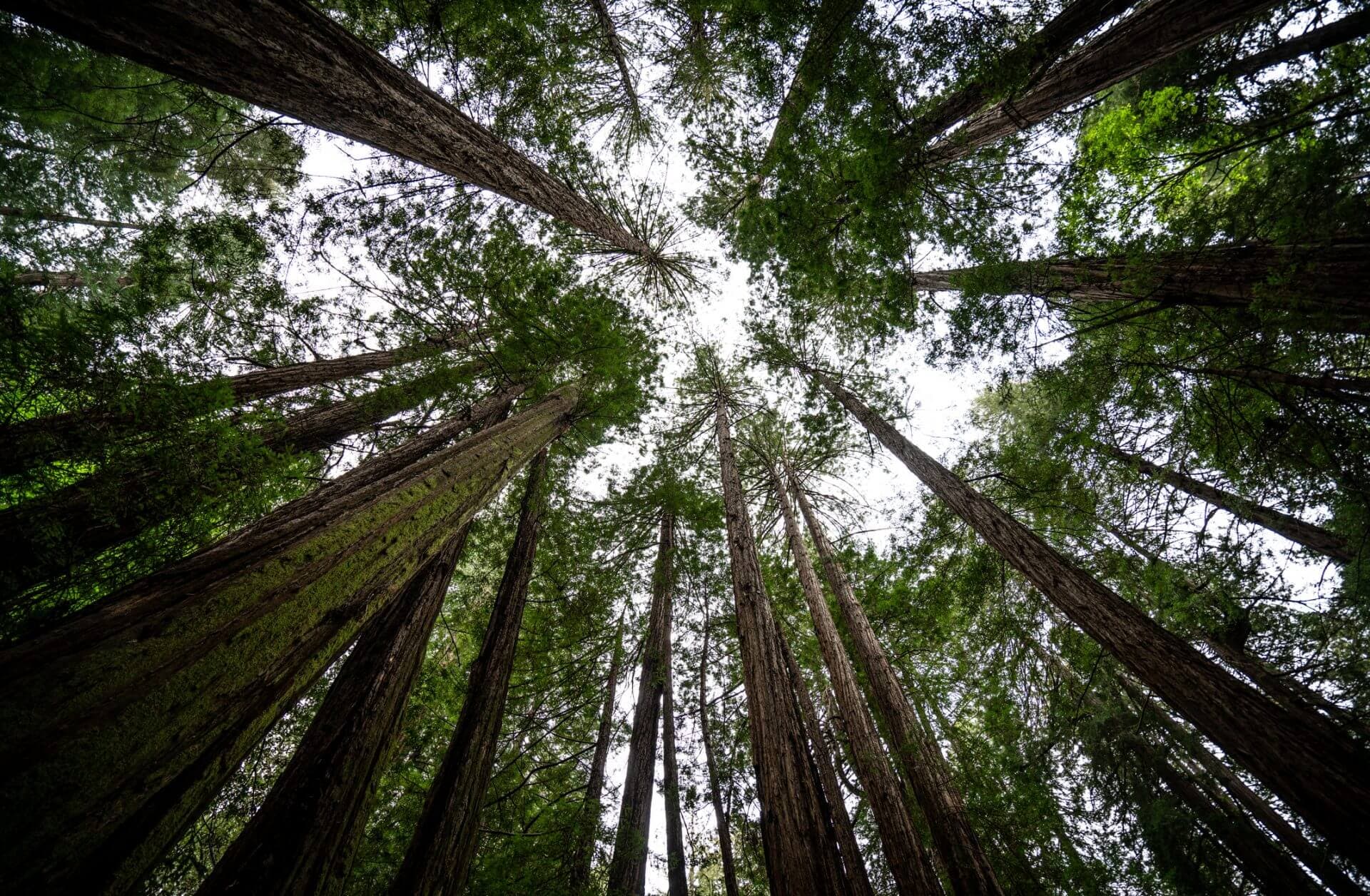 From Policy to Private Sector Action on Climate