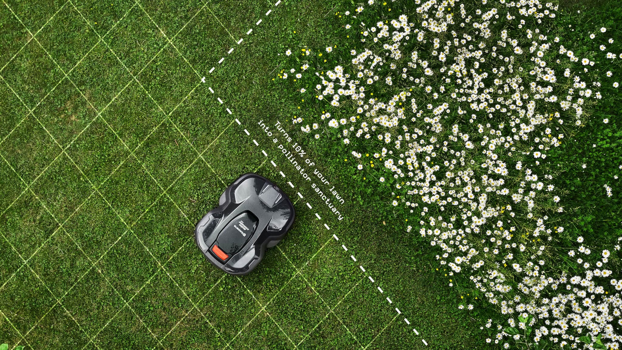 Aerial shot of a lawn with imaginary dashed line between the Husqvarna robotic lawnmower and the area of the yard the owner is deciding to keep wild