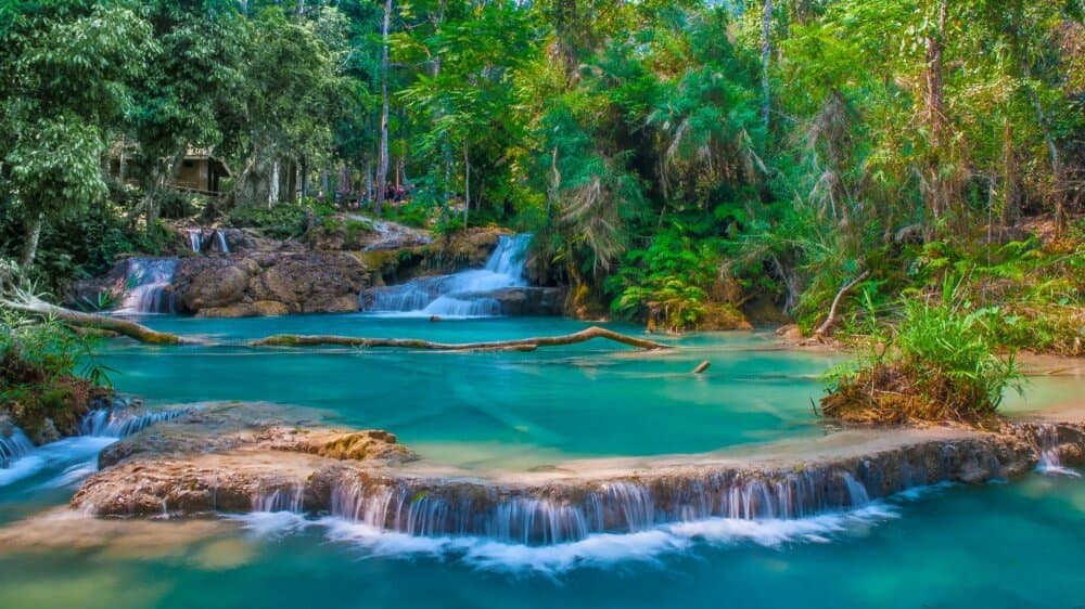 IssuesDecoded-ClimateSustainabilityTrends2019