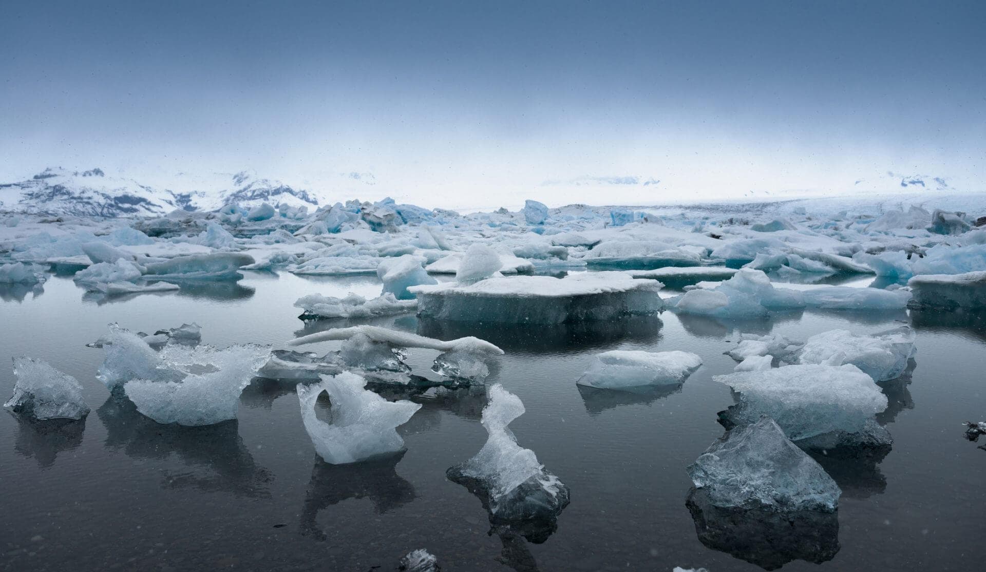 Business Response to the U.S. Withdrawal from the Paris Climate Agreement