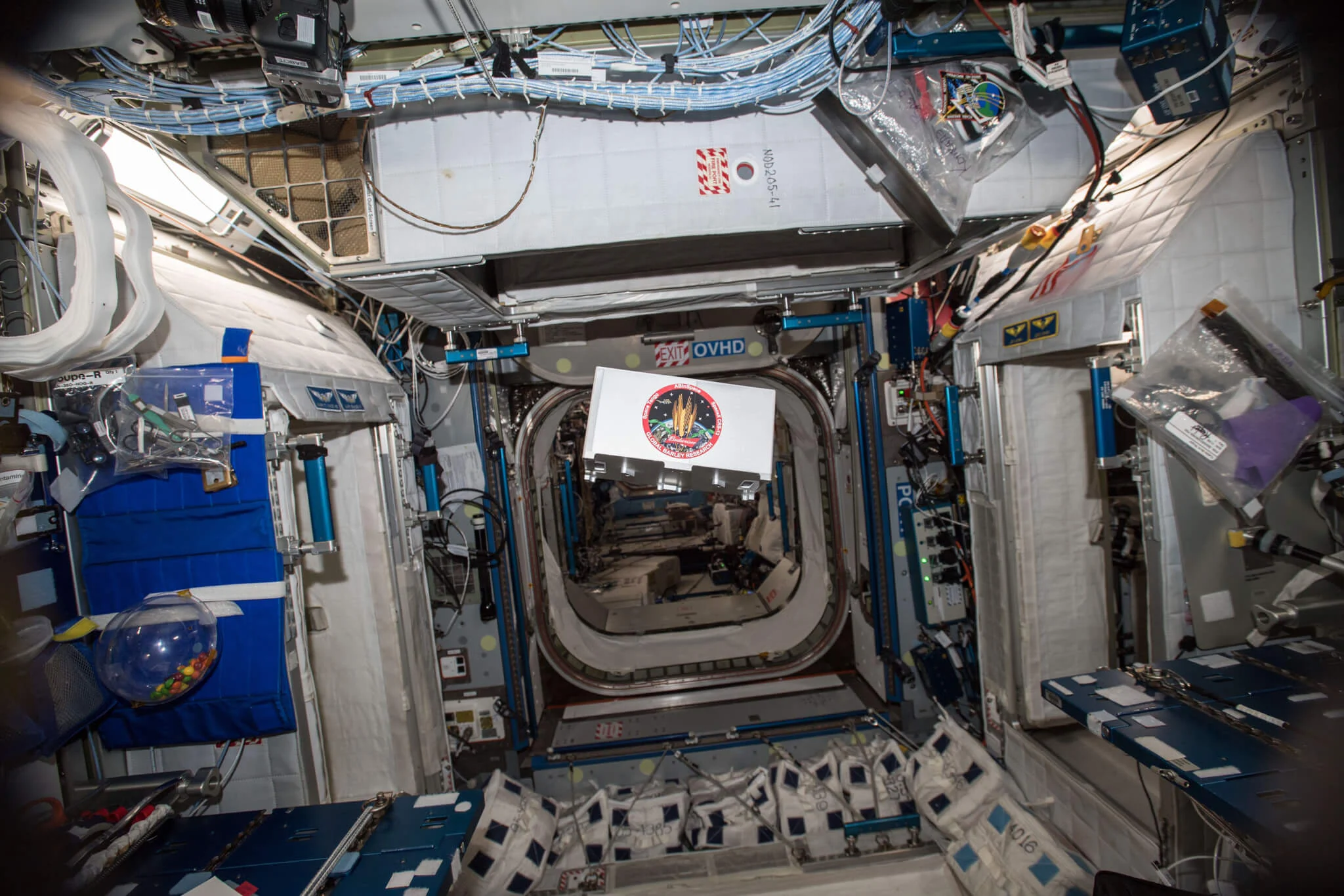 Budweiser makes giant leap towards becoming first beer on Mars