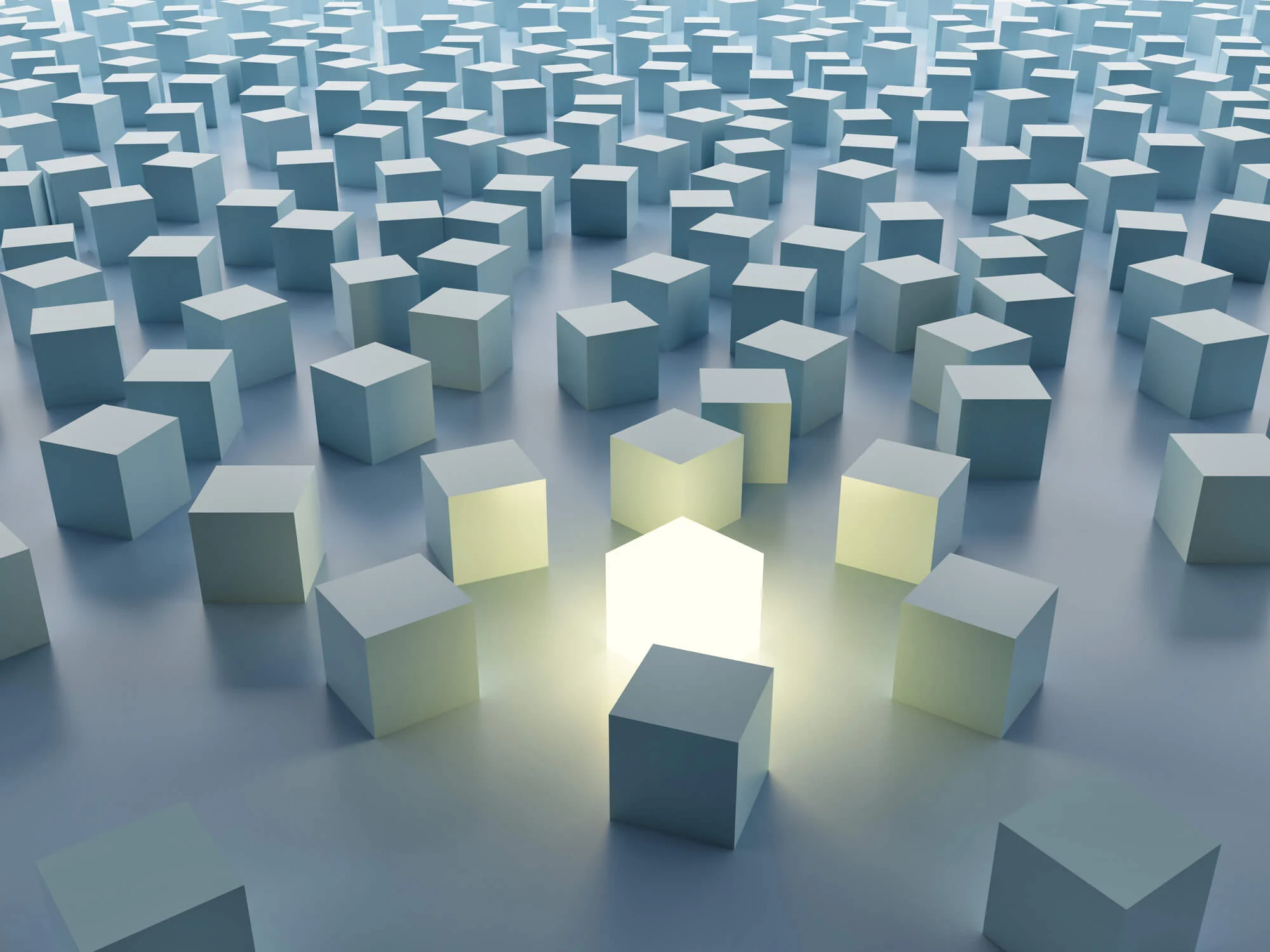 4 steps you must consider to lead a divided workforce