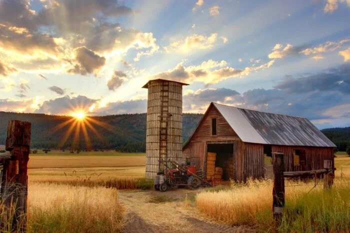 Can We Build Back Better? Five Ways to Embrace Regeneration