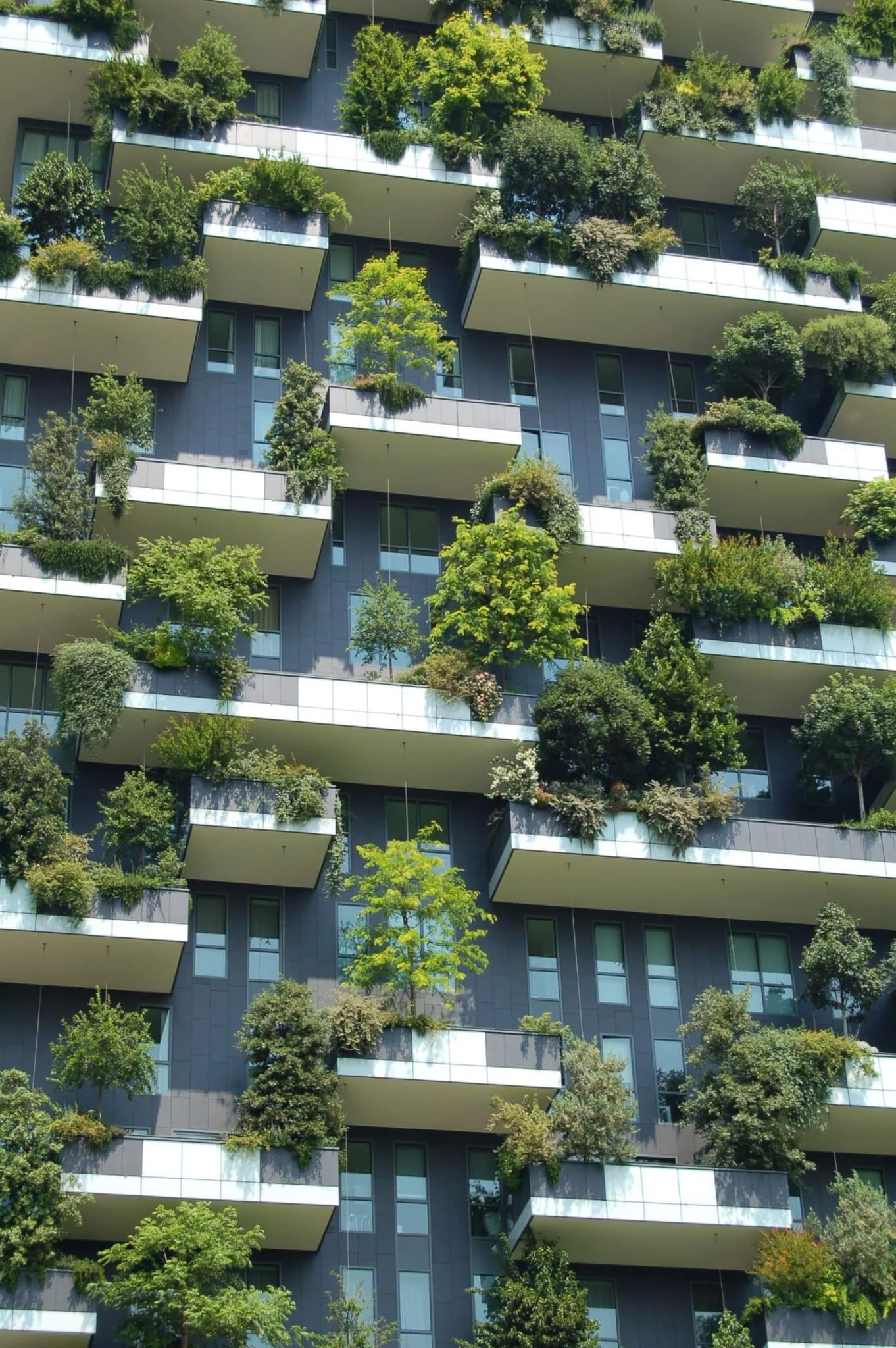 Exelixis’ Commitment to Our Environment, Society and Governance