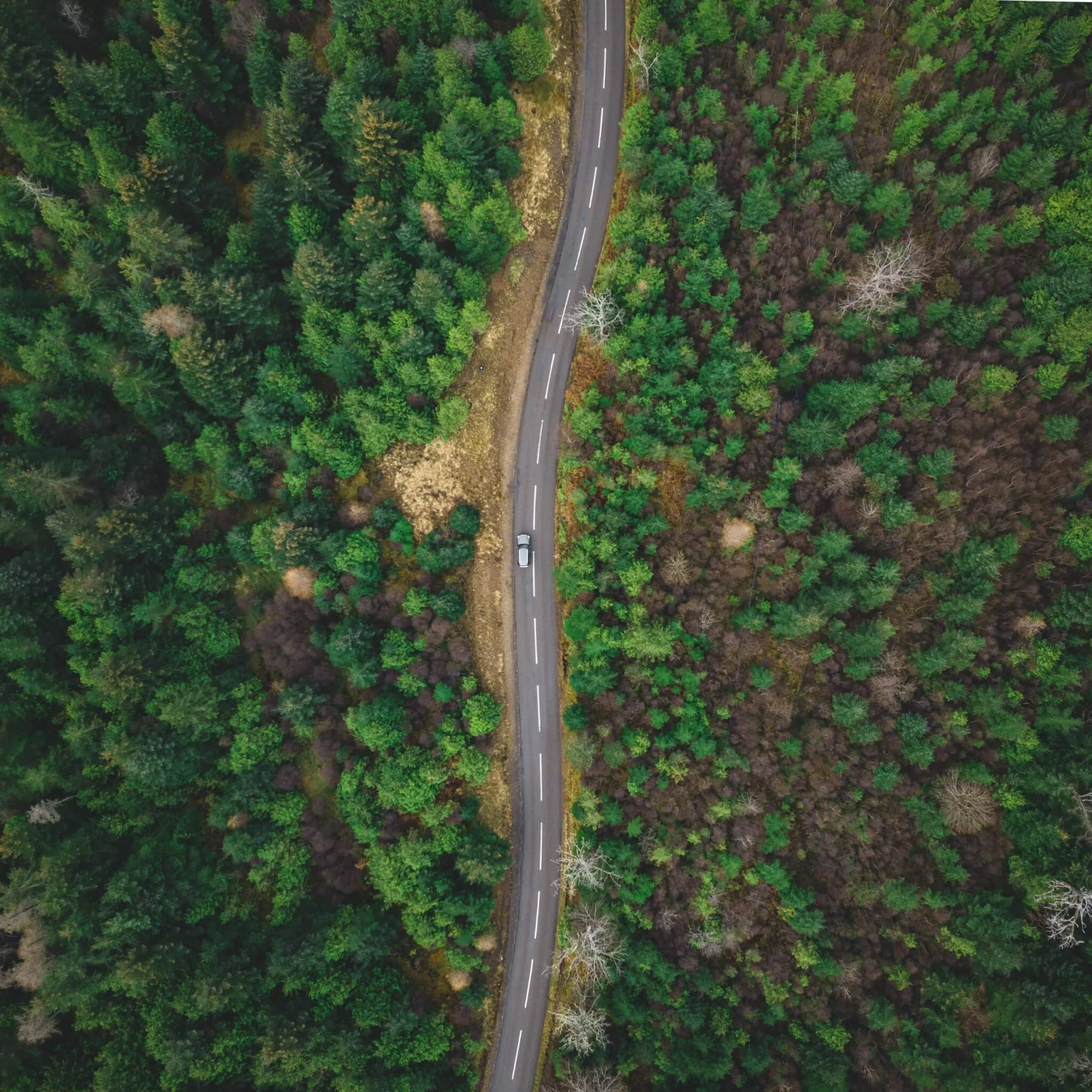 Financing Europe’s Green Recovery