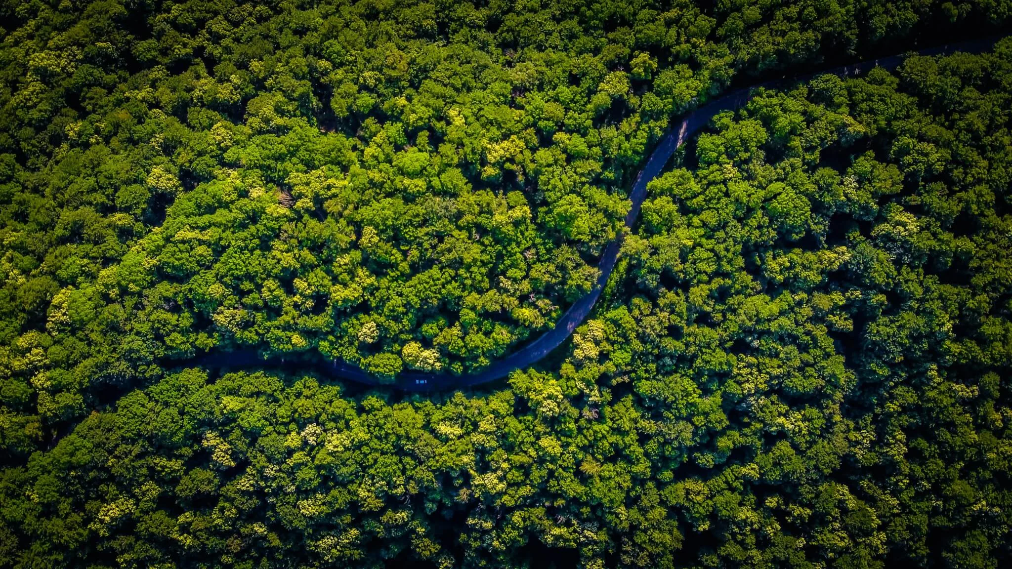 ‘Our ideas have to survive in the jungle, not the zoo’ (Contagious)